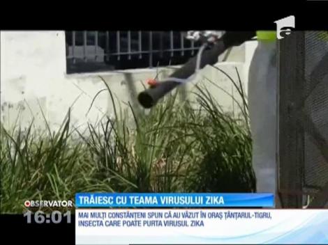 Constănţenii trăiesc cu teama virusului Zika
