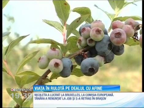 Viaţa în rulotă pe dealul cu afine