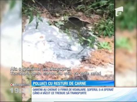 Capitala e înconjurată de munţi de gunoaie. Se vede, şi se simte de cum ajungi la marginea Bucureştiului. Ca să nu plătească, firmele sau cartierele rezidenţiale îşi aruncă mizeriile unde apucă