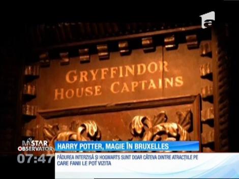 Harry Potter a adus magia la Bruxelles