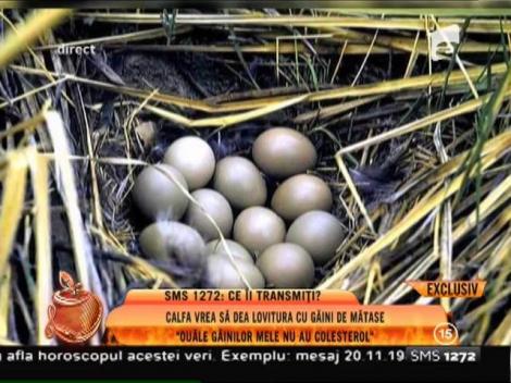 Mariana Calfa vrea să dea lovitură cu găini de mătase