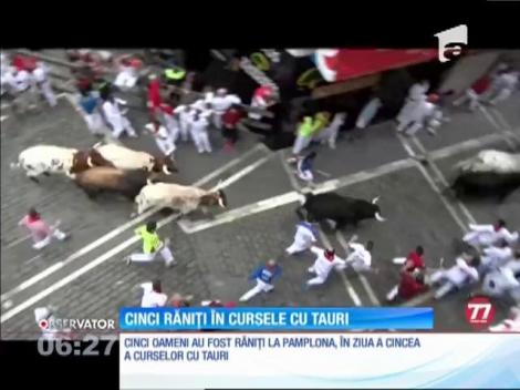 Cinci oameni au fost răniţi la celebrele curse cu tauri de la Pamplona