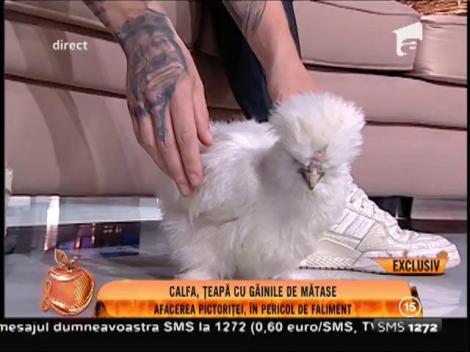 Pictorița Mariana Calfa: "Am 40 de găini"