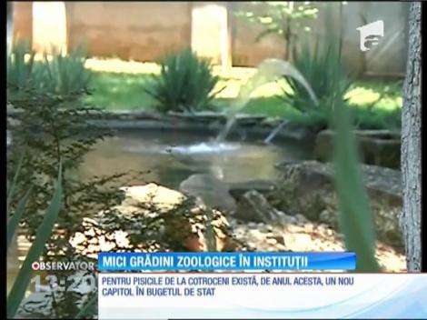 Palatul Cotroceni seamănă cu o minigrădină zoologică