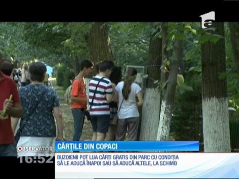 Cărţile din copaci