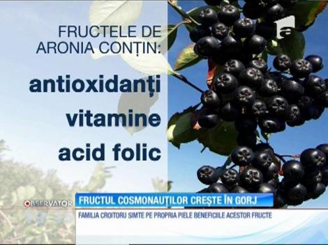 O nouă afacere a încolţit în sudul României. Agricultorii cultivă fructul cosmonauţilor - o explozie de vitamine cu mare succes printre consumatori