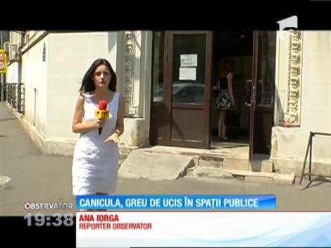 Canicula,  greu de suportat în spații publice