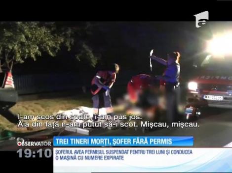 O pisică fără un pui de talent, când vine vorba de camuflaj, s-a ascuns printre zeci de puişori de găină