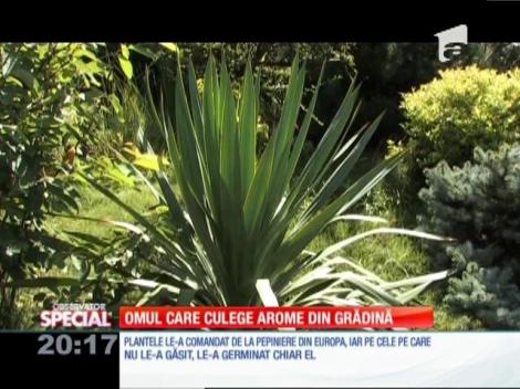 Special! Un orădean a colecționat 80 de plante care nu se mai găsesc în România