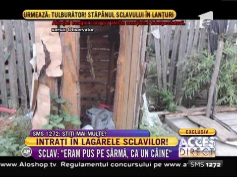 Sclav: "Eram pus pe sârmă, ca un câine"