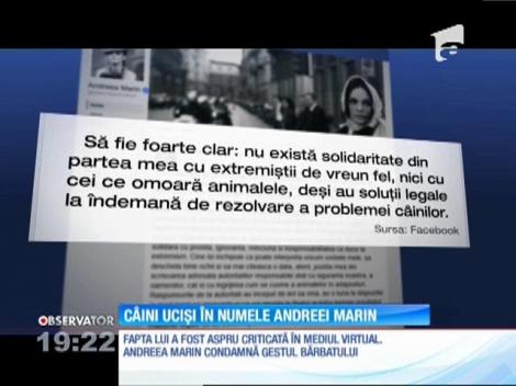 Un bărbat din Constanţa s-a lăudat pe o reţea de socializare că ar fi otrăvit 25 de câini, în semn de solidaritate cu Andreea Marin