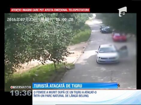 O femeie a murit după ce a fost atacată de un tigru, într-un parc natural de lângă Beijing