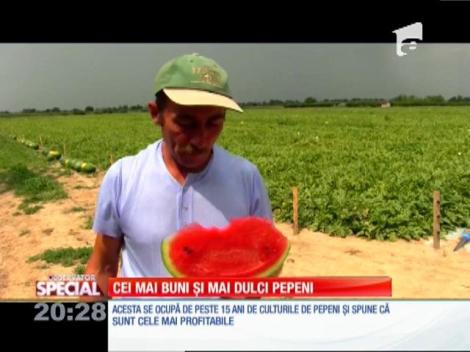 Special! Romanza, cei mai buni și mai dulci pepeni