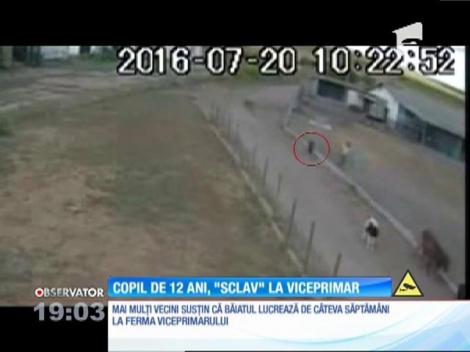 Caz revoltător în Vaslui! Un copil a ajuns la spital, după ce s-a rănit în timp ce muncea la ferma unui viceprimar