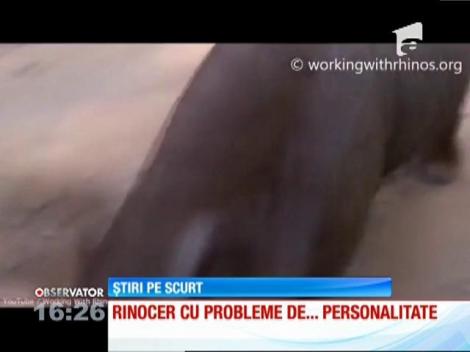 Un pui de rinocer din Africa de Sud se crede câine