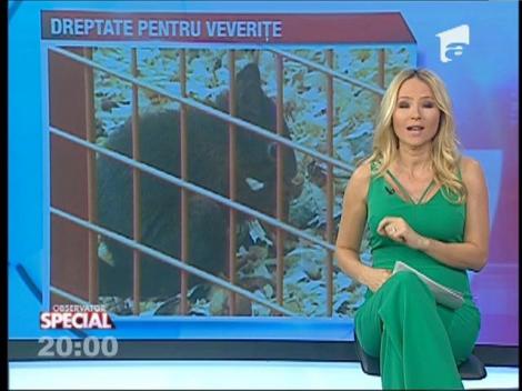 SPECIAL! Amendă pentru veveriţele din parc