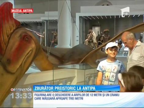 Figurina celui mai mare dinozaur zburător din lume, descoperit pe teritoriul României, va fi prezentat la muzeul Antipa