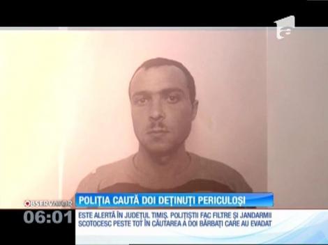 Stare de alertă în judeţul Timiş! Poliția caută doi deținuți periculoși