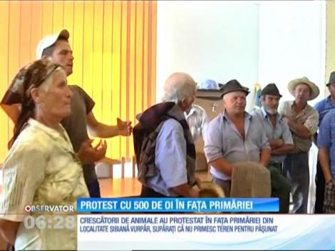 Protest inedit într-o localitate din Sibiu! Au blocat principalul drum din comună cu oile