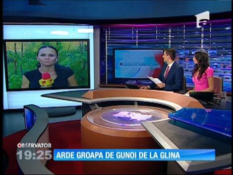 Incendiu puternic la groapa de gunoi de la Glina