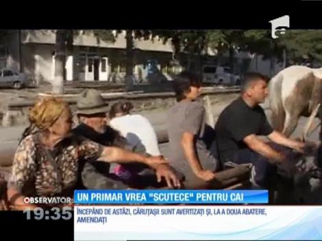 Ca să oprească problema mizeriei pe stradă, un primar a cerut ca toţi caii să poarte "scutece"!