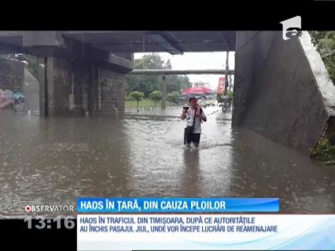 A fost haos în trafic, de dimineață, în centrul Timișoarei. Ploaia torențială a făcut probleme șoferilor