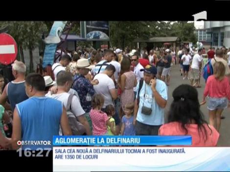 Aglomerație de nedescris la Delfinariul din Constanța! Sute de turiști au luat parte la spectacolele oferite de 'artiștii' Ni-Ni și Chen-Chen