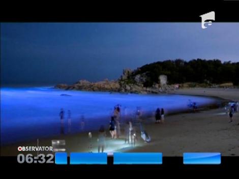 Fenomen rar pe coasta de est din China! Apele de la ţărmul mării au fost colorate în nuanţe fosforescente de albastru