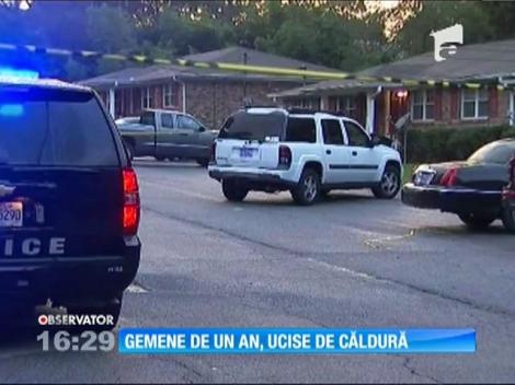 Gemene de un an, ucise de căldură