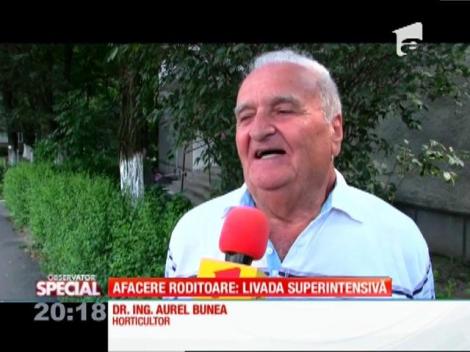 SPECIAL! Afacere roditoare: livada superintensivă