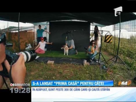 S-a lansat prima casă pentru căţei! Nu-i credit. Şi nici nu te &icirc;ndatorează pe viaţă. Ba chiar te &icirc;mbogăţeşte