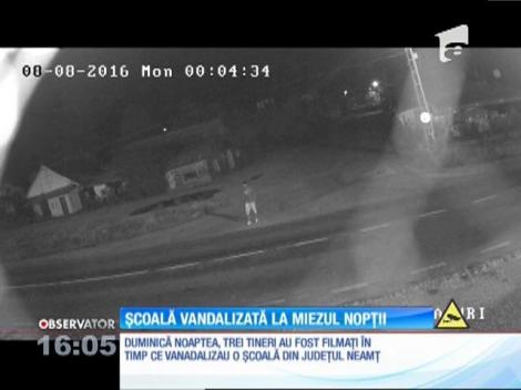 Trei tineri filmaţi în timp ce vandalizează o şcoală din Neamţ