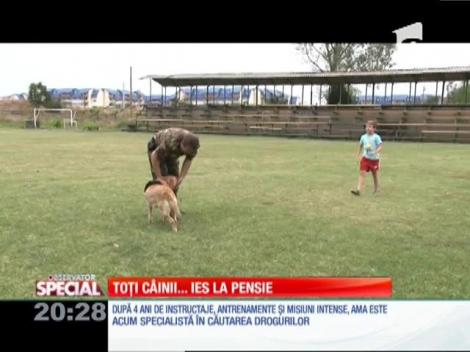 SPECIAL! Un poliţist din Mehedinţi a adoptat-o pe Ama, un câine alături de care a prins zeci de infractori
