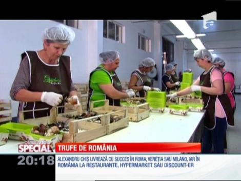 Special! Trufele cultivate la Oradea ajung în numai 24 de ore de la cules, în farfuriile din restaurante
