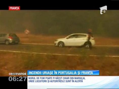 Incendii de vegetaţie devastatoare, în Portugalia