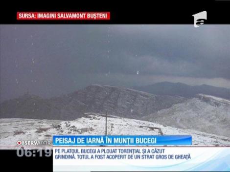 Turiştii care au urcat pe platoul Bucegi au fost surprinşi de un fenomen natural. O ploaie urmată de grindină a albit muntele
