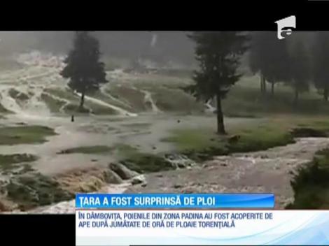 Vreme rea! Cod galben de ploi şi vijelii, în Bucureşti şi 15 judeţe din ţară