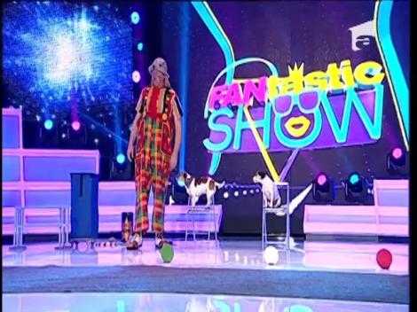 FANtastic show: "Cine are cea mai bună memorie". Echipele își testează inteligența