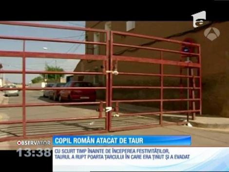 O fetiţă româncă a fost rănită după ce a fost atacată de un taur, în Spania