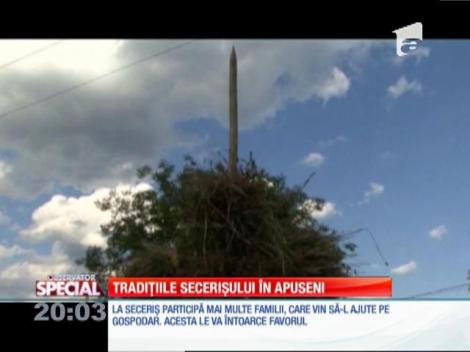 SPECIAL! Tradiţiile secerişului în Apuseni