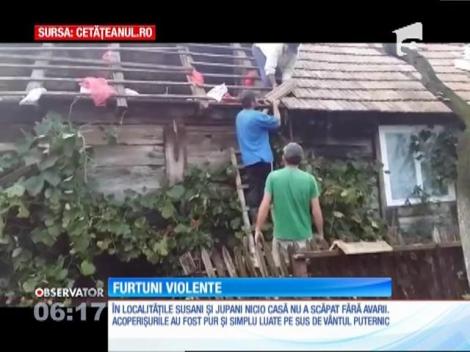 Furtuni violente în județul Timiș