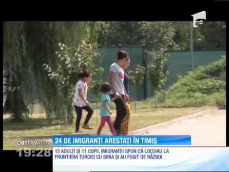 24 de imigranți au intrat ilegal în România prin județul Timiș