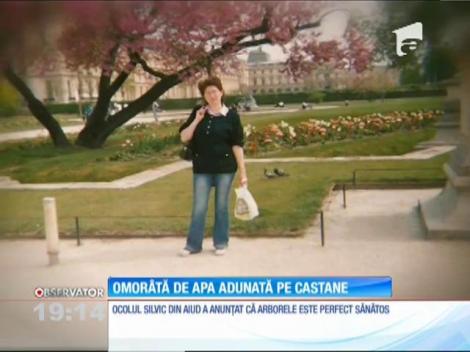 Ploaia a fost de vină, în cazul profesoarei omorâte de o creangă de castan în Aiud