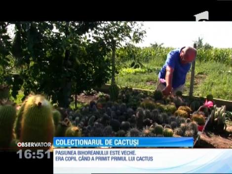 Colecționarul de cactuși din Bihor