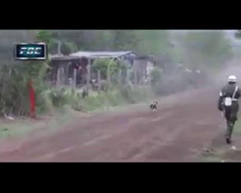 VIDEO! Acesta este PUPI, cel mai norocos animal de pe Pământ. O mașină de curse a trecut peste el și n-a avut nimic!