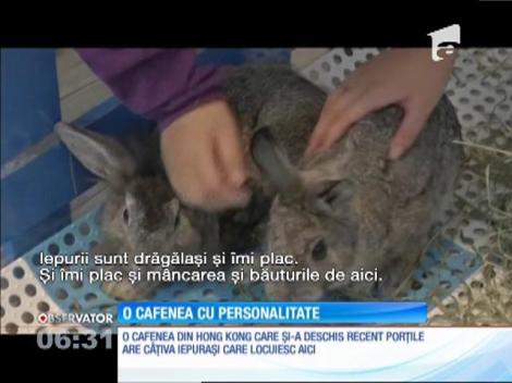 În Hong Kong s-a deschis prima cafenea cu iepurași