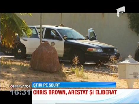 Chris Brown, arestat după ce a ameninţat un fotomodel cu o armă