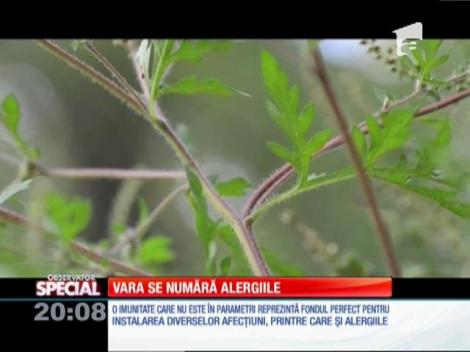 Special! Ce se poate face pentru a resimţi cât mai puţin efectele alergiilor sezoniere