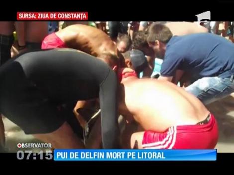 Delfinul eșuat pe plaja din Eforie Sud a murit!