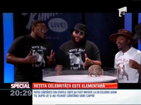 Special! Patru bărboși îi cântă unei căprițe